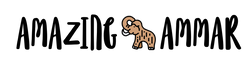 amazingammar